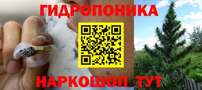 бошки Донской