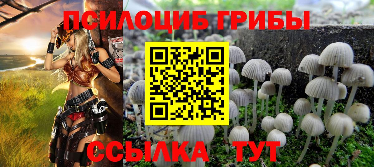 Галлюциногенные грибы мухоморы  Вход с VPN  купить закладку  Псилоцибиновые грибы Magic Shrooms  Майкоп 