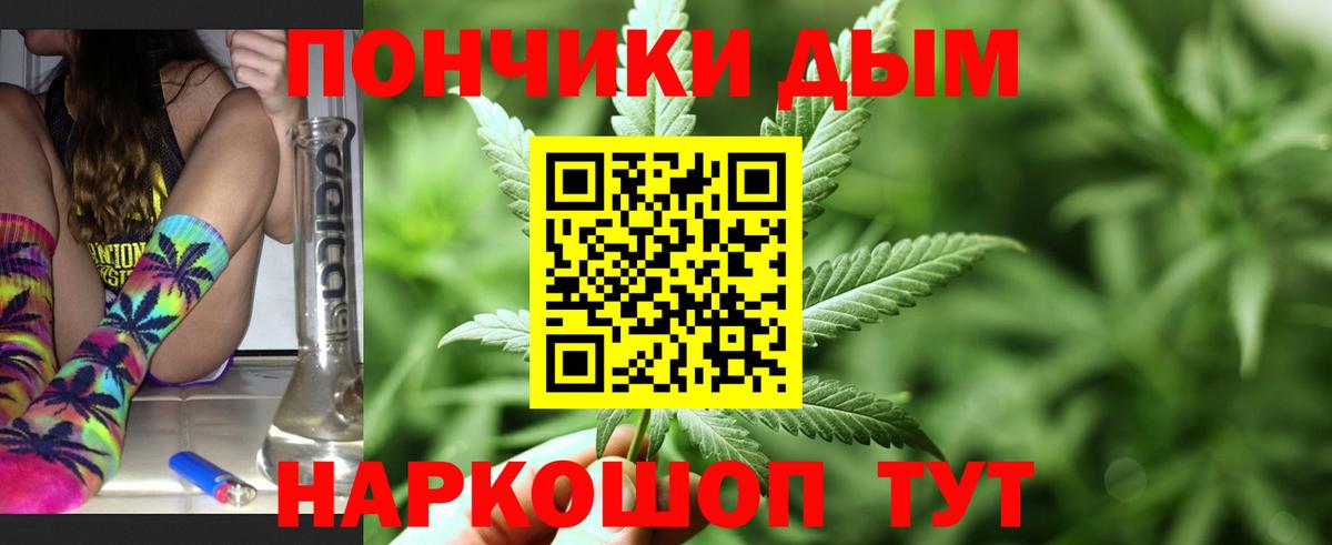 Каннабис конопля Майкоп